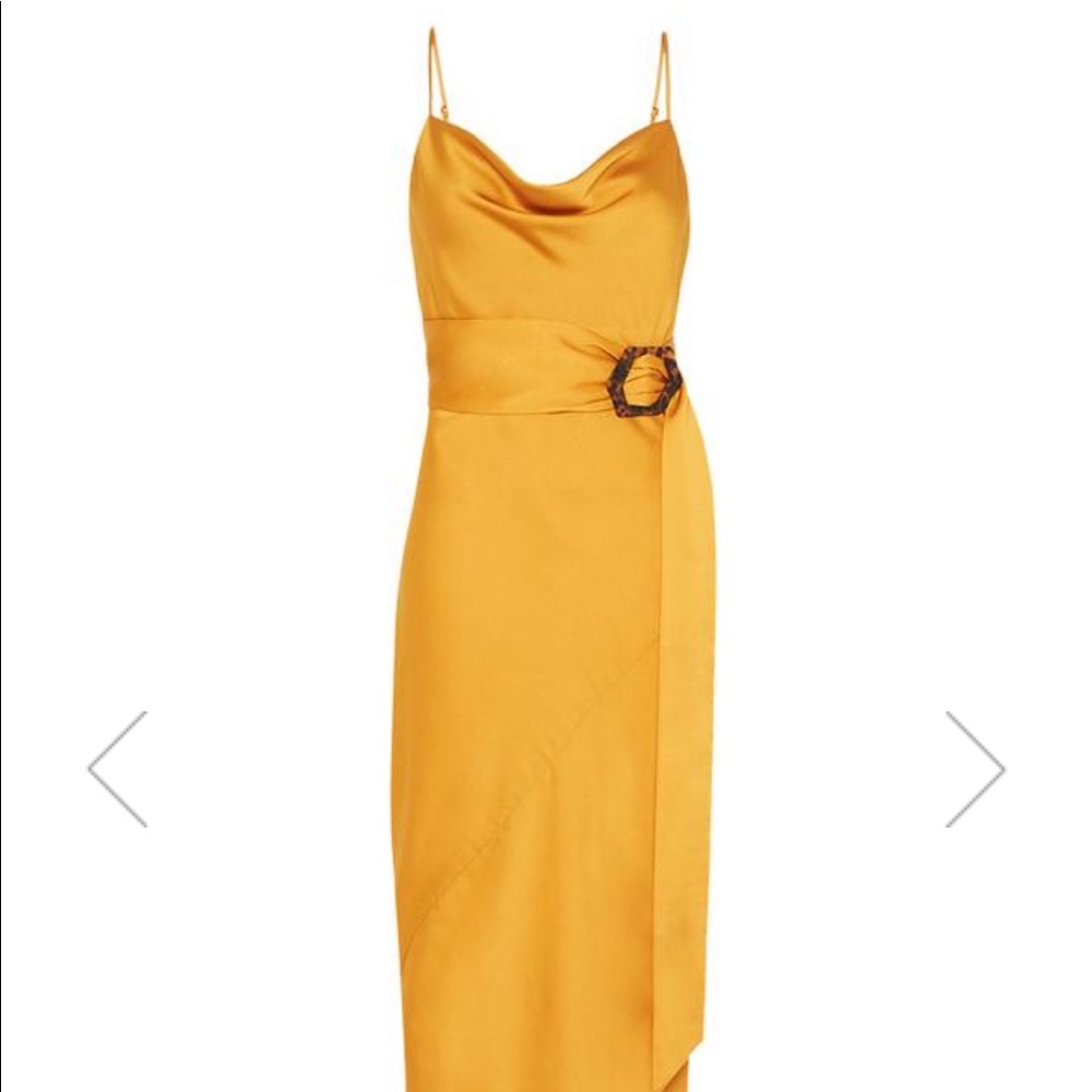 NWT Shona Joy Arlo Bias Cowl Maxi Dress